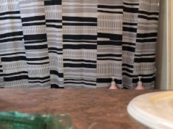 SpyFam  Беременная сводная сестра принимает душ