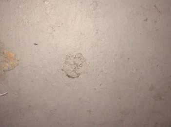 Зрелая мамаша использовала 4 fuckmeat  местный книжный магазин сперма на лице глотка fukd