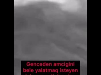 ТриммерEB30E55E8F8D49DC9DCD75347DEC0ECCMOV